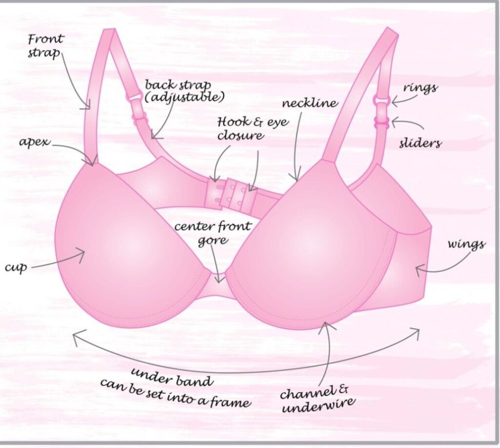 Perfect Bra for You